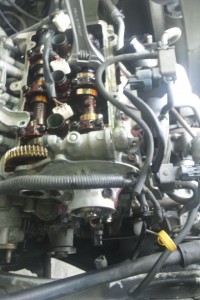 DSC_0555 DSC_0555.JPG