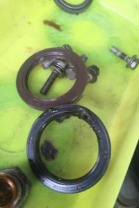 DSC_0556 DSC_0556.JPG