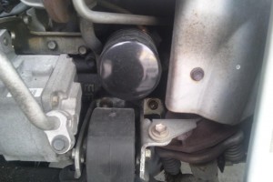 DSC_0557 DSC_0557.JPG